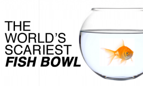 The World's Scariest Fish Bowl